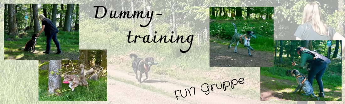DummyTraining