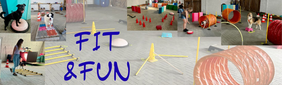 Fit & Fun