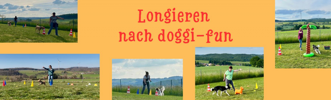 Longieren nach doggi-fun